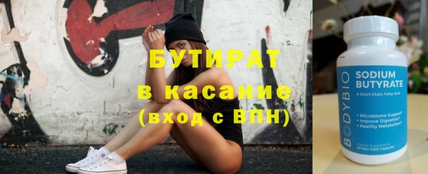 сатива Няндома