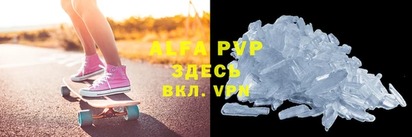 сатива Няндома