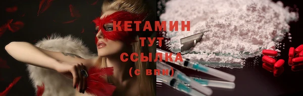 сатива Няндома