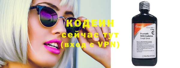 сатива Няндома