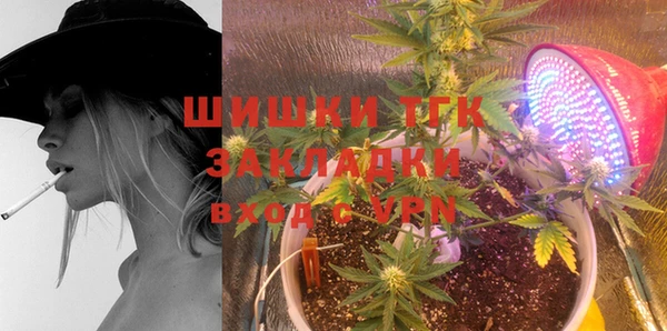 бошки Новодвинск