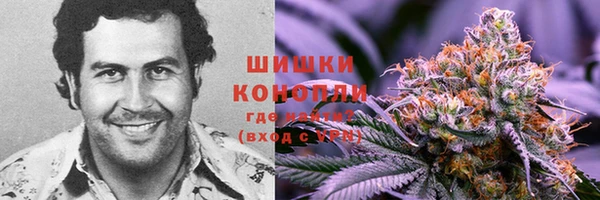 сатива Няндома