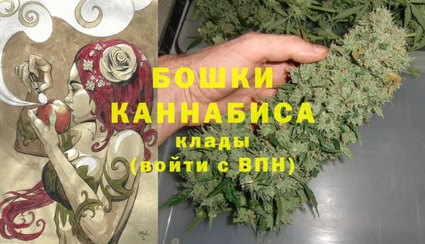 МДПВ Новозыбков