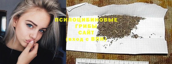 сатива Няндома