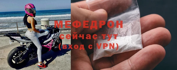 сатива Няндома